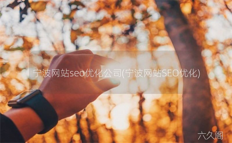 宁波网站seo优化公司(宁波网站SEO优化)