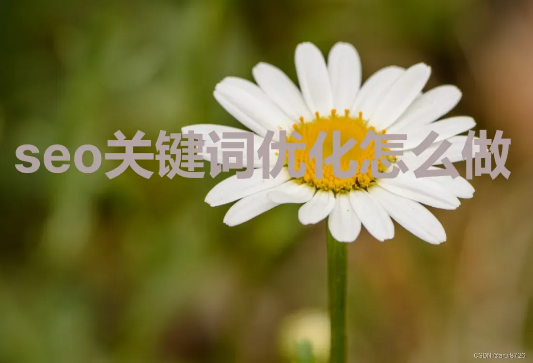 做是什么结构_seo是做什么的_做是动词吗