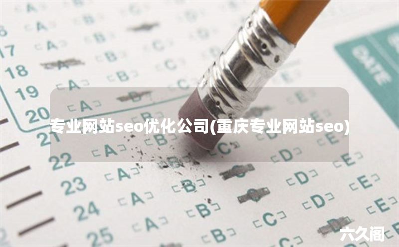专业网站seo优化公司(重庆专业网站seo)