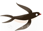 引擎搜索_seo搜索引擎优化网站_引擎优化搜素