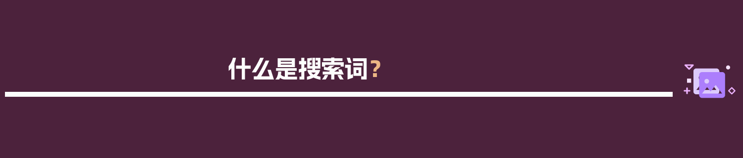 什么是搜索词？