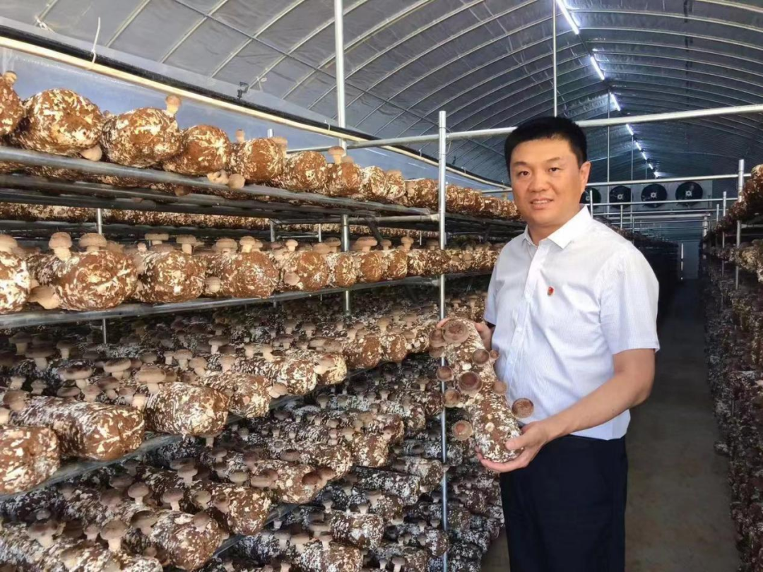辉煌网站平台_辉煌平台网上赚钱是真的吗_seo辉煌电商平台