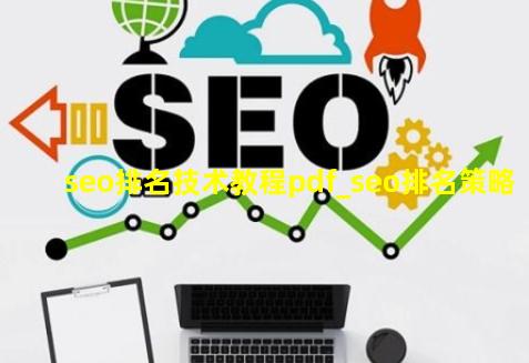 seo排名技术教程pdf_seo排名策略