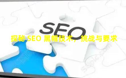 探秘 SEO 黑帽技术，挑战与要求