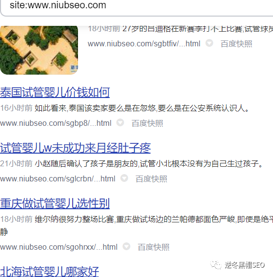 seo外链要做些什么_seo外链怎么做能看到效果_seo外链王