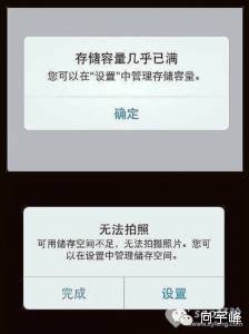 阿峰森林_阿峰在越南_阿峰seo