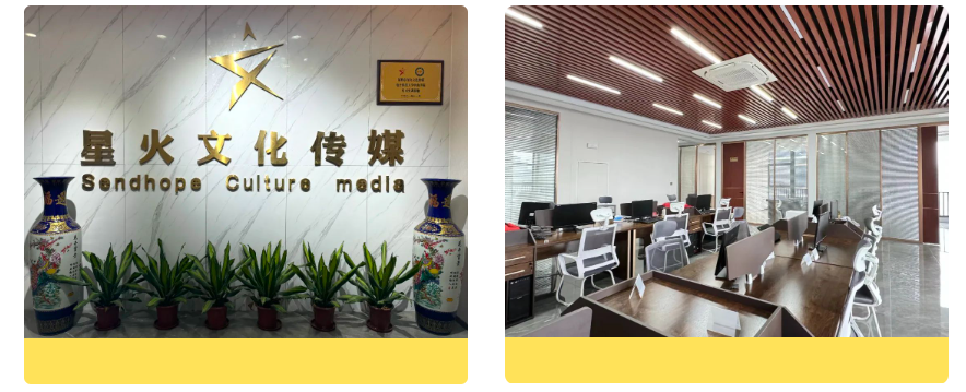 搜索引擎优化指的是_搜索引擎优化seo什么意思_seo搜索引擎优化都有哪些