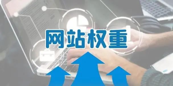 权重词是什么_权重网站是什么意思_seo中的权重是什么