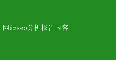 诊断报告分析_诊断分析报告格式_seo诊断分析报告
