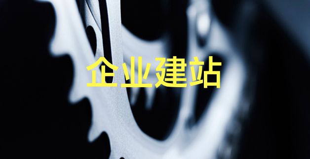 seo建站技术_seo建站是什么意思_seo建站标准