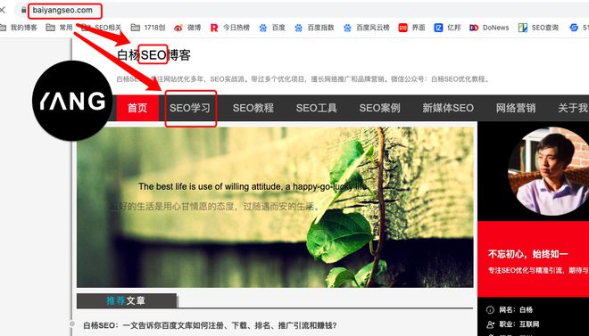 seo建站技术_seo建站是什么意思_seo建站标准