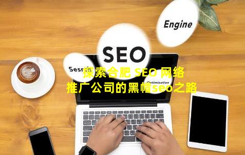 探索合肥 SEO 网络推广公司的(黑帽seo)之路