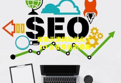 探索天津网站优化 SEO 企业排名的奥秘